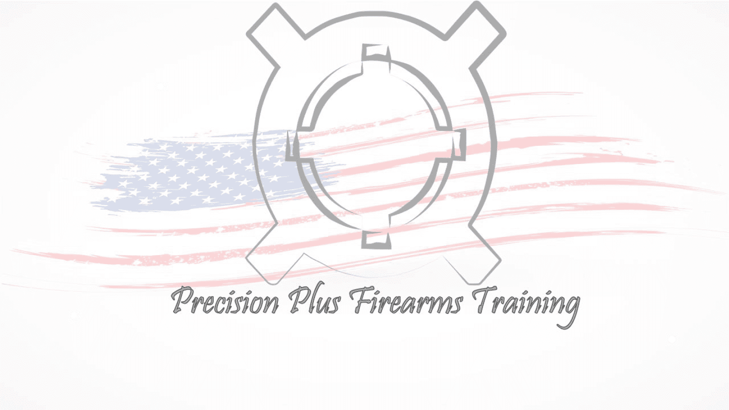 Precision Plus Flag Logo